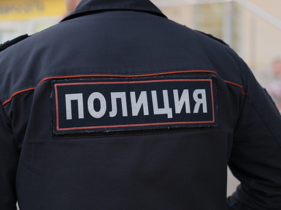 Московских подростков нашли повешенными накануне обсуждения законопроекта о «группах смерти»