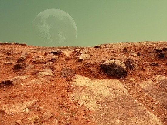 СМИ: будущих покорителей Марса помогут защитить чернобыльские грибы